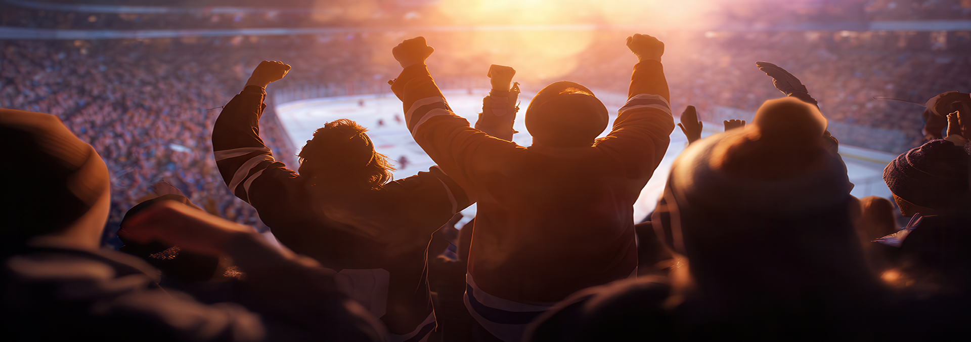 Hockey fans