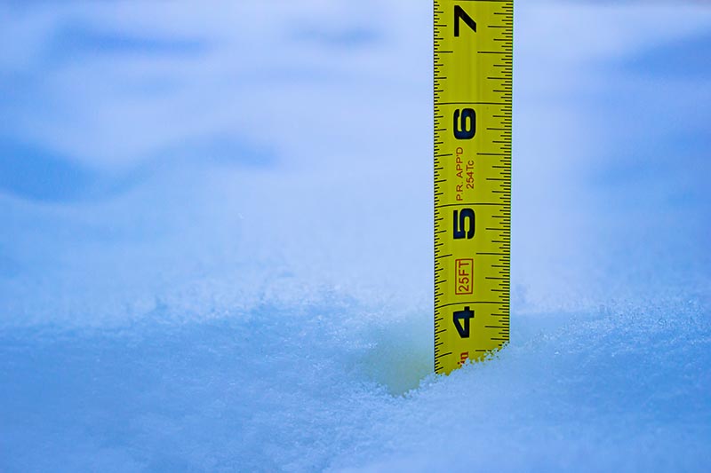 Snow Rebate